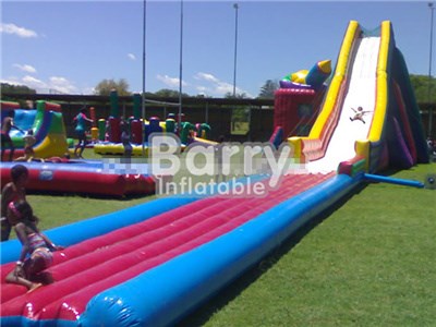 Customized Giant Adult Inflatable Slide , Inflatable Water Slide Factory BY-GS-007